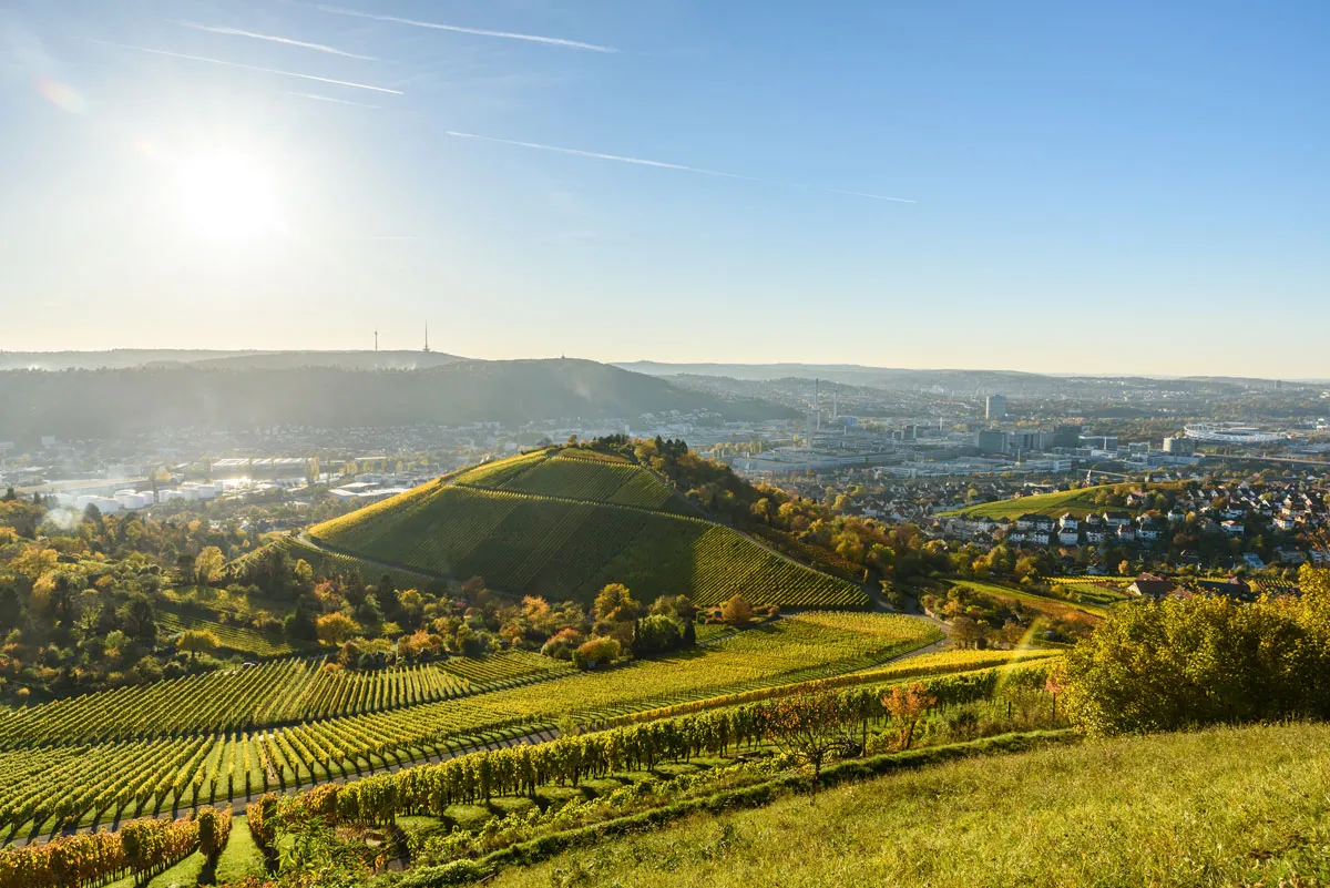 Blick über die Weinberge auf Stuttgart bei Sonnenschein – GA Ingenieurbüro und Energieberatung Inhaber Amjad Gerstner Ayoubi ist Ihr Ansprechpartner in Stuttgart und ganz Baden-Württemberg